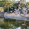 2026-03-04 忙しいぞ