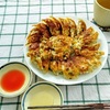 凍らせた豆腐で作る💛　超簡単手作り『豆腐ぎょうざ』♪♪♪