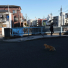 ゾシマ長老の教えに教えられる