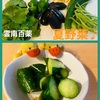 夏野菜‼️味噌きゅうりでカラダを冷やそう！