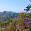 古市駅～登山口～尾根～白髪岳～松尾山～文保寺観音堂～篠山口駅縦走