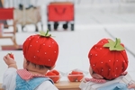 GREENARIUM awajishimaで  子連れいちごピクニック