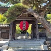 長谷寺／真夏の鎌倉 大人の遠足2024