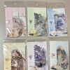 海外の猫シールが可愛すぎた｜全6種類レビュー＆手帳デコに使ってみた