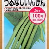 水耕栽培で「つるなしインゲン」に挑戦します。枝豆栽培の応用で育てられるでしょうか？