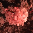 なぎの研究日誌