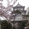 伊賀上野城の桜^^