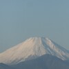 運動の基本を／歩く・71