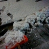 深夜に雪かきしたけど昼寝から目覚めたら溶けていた(^_^;)