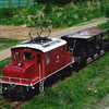 ED333とホキ1245(弘南鉄道弘南線撮影編)