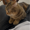 あんころもちの甘えん坊モード2