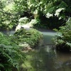 【石川県 2024年版】 夏の絶景・風物詩・・・