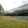 DAY#109 Locke stream hut to kiwi hut (8)