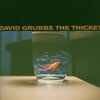 David Grubbs "The Thicket"