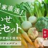 【料理系YouTubeの紹介 ＃２３】チャーハンが恋しい