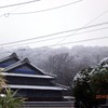 讃岐の雪は珍しい