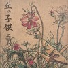 望ケ丘の子供たち　長島愛生園編