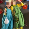 山の子の写真を撮りに