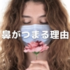 鼻がつまる理由