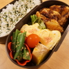 【お弁当編】豚カツ弁当