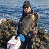 浜勝渡船で納竿釣行初日　串本大島　カナヤマのコジ