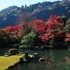 京都紅葉の名所嵐山・北野天満宮のすばらしさを紹介！混雑しても行きたい理由とは？