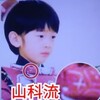 今上夫妻が広島訪問した位で愛子天皇と言うのは､問題ですし上皇陛下は､秋篠宮悠仁親王が天皇と言う意思決定していますのでね。