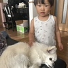 チビチビ太＆ハピチャン🐶