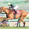 競馬初心者必見☆馬券予想🔥〜セントライト記念〜ドゥラメンテの後継馬に期待‼️〜