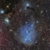 １月合宿で撮影したカタツムリ星雲、M108&M97