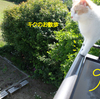 先日の晴れた日の