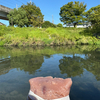 柔肌の熱き血潮に触れもみで寂しからずやあずきを食う僕