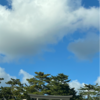 気づいたら…今年も後少しだけ