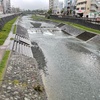 　水無川に水がある