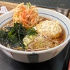 桜海老の風味がたまらないって言うか肉団子天デカすぎるだろ！！箱根そば新商品『桜海老のミニかき揚げ天とドデカ肉団子天』を食す！！