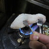 俺流？鯛のさばき方と鯛料理！！「鯛の肝醤油で炙りのお刺身、焼き物、汁物編」