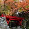 日本　谷汲横蔵寺の紅葉