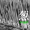 葱・ねぎ・ネギ