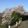 日だまりのある町