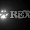 ロレンツォ＆レックス～ローマ警察シェパード犬刑事〜Il commissario Rex☆Season1 Ep.List