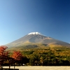 実は日本にも数多くある！　行ってみたいな世界遺産🌍✨