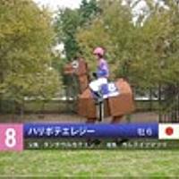 ハリボテエレジーとは ウェブの人気 最新記事を集めました はてな