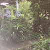心配しすぎた　今回の帰省
