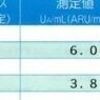 花粉症状が治った？北海道に杉はない！腸内環境を整える