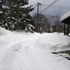 大雪になっちゃった