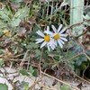 私を生かした聖句（6）コリントの信徒への手紙二 3章18節