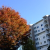 勝俣部長の「ため息」４９６１回････僻みの切り返し