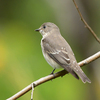 東京野鳥公園に行ってみた日記（２０２２　１０１６）その１。