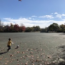 豊橋公園訪問記〜橋っ子くらし〜