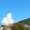 これだけ雨が続くと暑くても青空が恋しくなります。